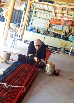 Bedouin weaver