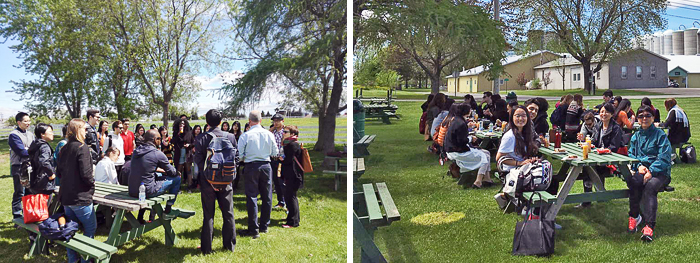 The students visited the MacDonald campus farm